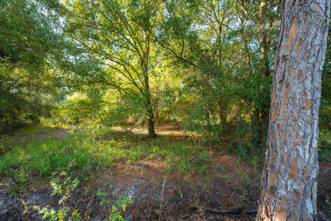 En Venta: $78,500 (0 camas, 0 baños, 0 Pies cuadrados)