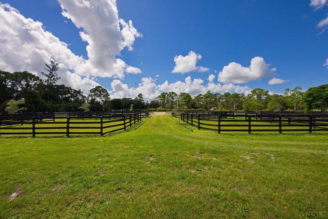 出租: $5,000 (4 贝兹, 2 浴室, 2801 平方英尺)