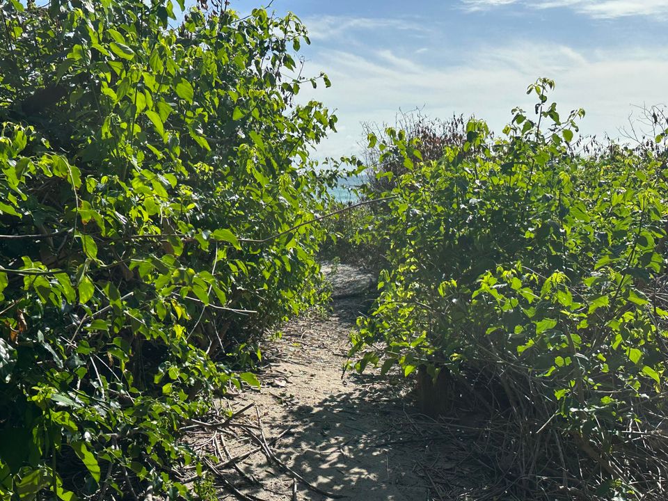 For Sale: $7,500,000 (4 beds, 4 baths, 3434 Square Feet)