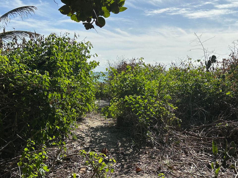 For Sale: $7,500,000 (4 beds, 4 baths, 3434 Square Feet)