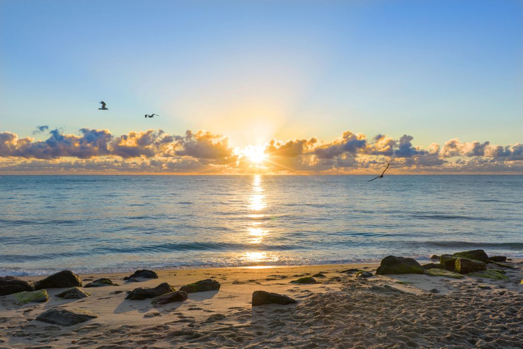 For Sale: $4,750,000 (5 beds, 6 baths, 4100 Square Feet)