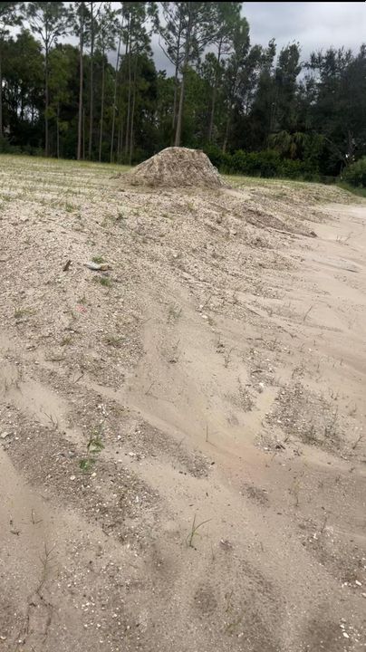 For Sale: $390,000 (0 beds, 0 baths, 0 Square Feet)