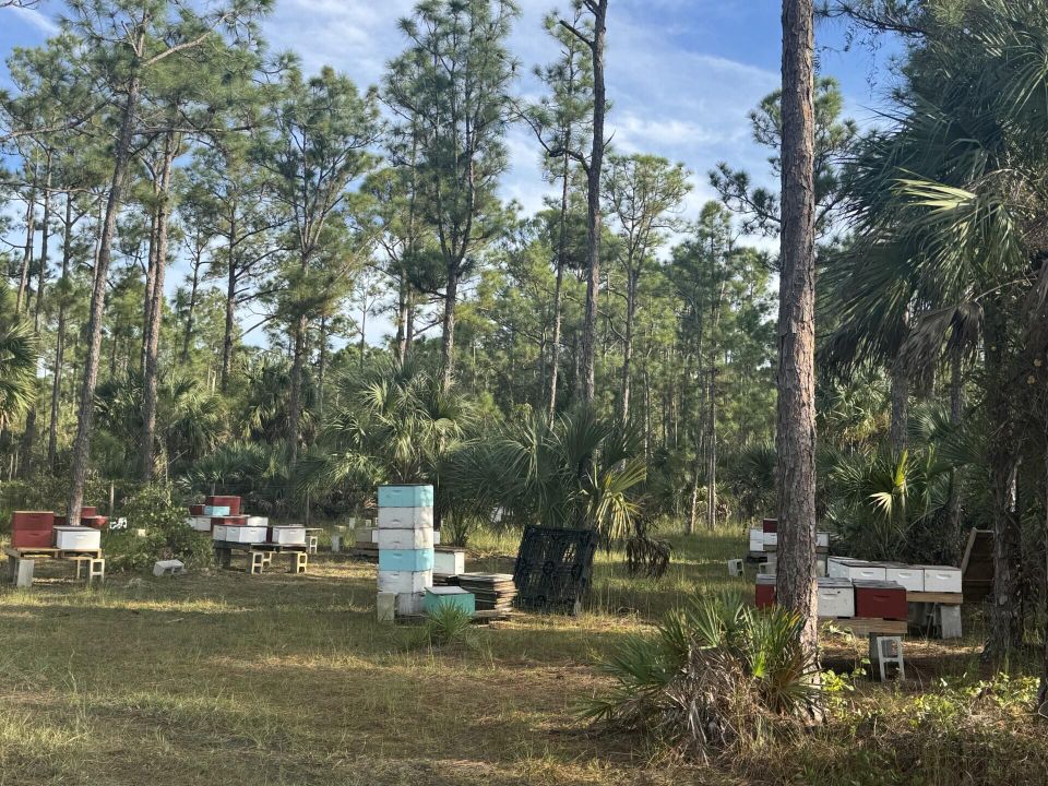 For Sale: $325,000 (0 beds, 0 baths, 0 Square Feet)