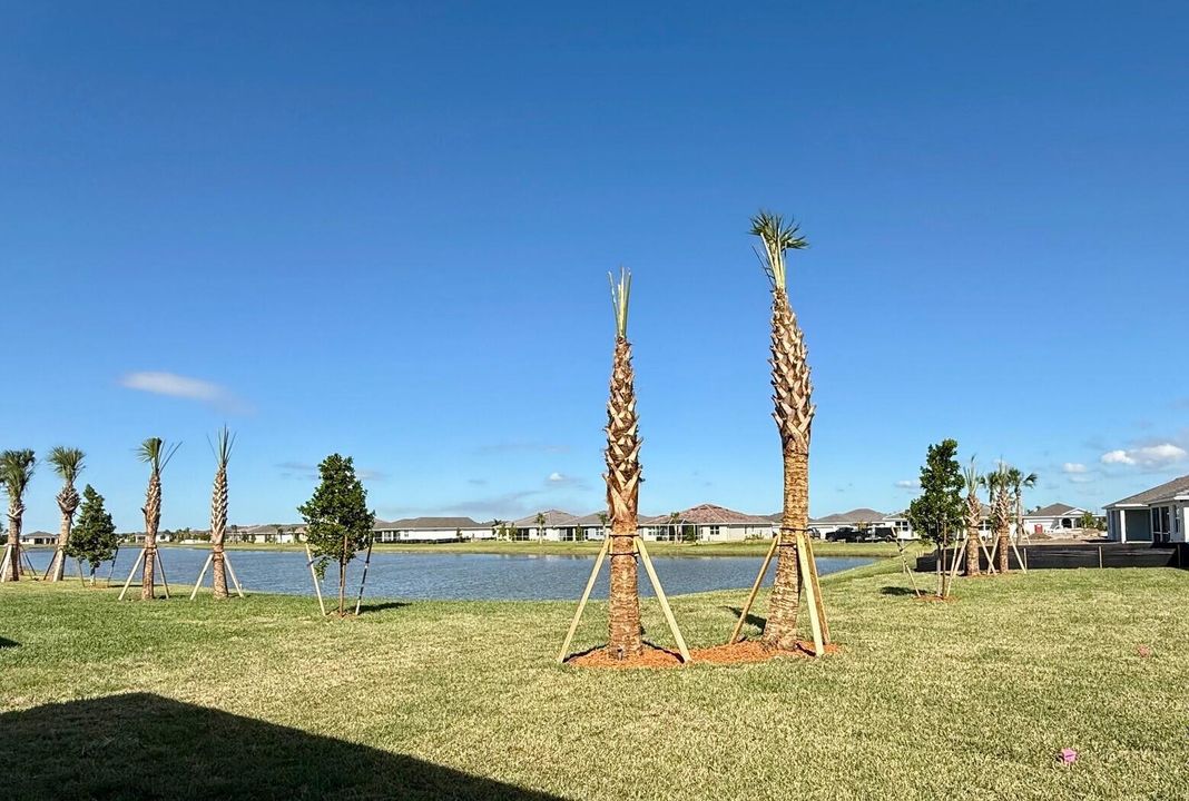 Под контрактом: $484,035 (2 спален, 2 ванн, 2114 Квадратных фут)