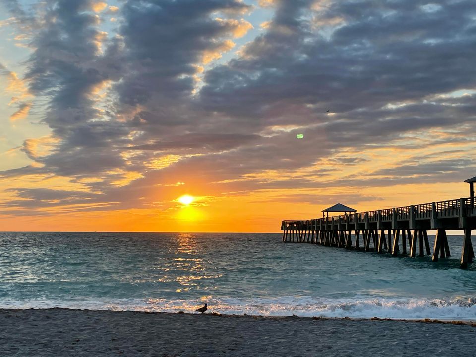 合同活跃: $1,649,500 (5 贝兹, 4 浴室, 2733 平方英尺)