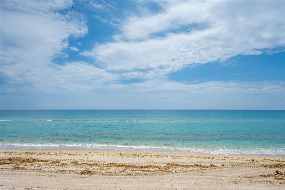 For Rent: $10,000 (3 beds, 2 baths, 1556 Square Feet)