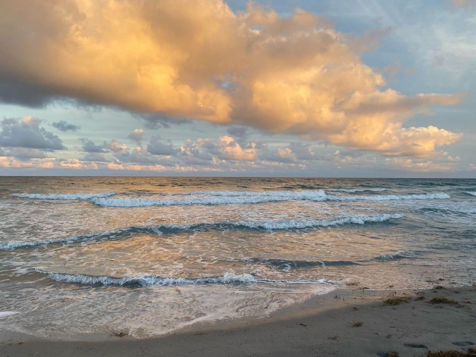 For Rent: $5,300 (4 beds, 2 baths, 1615 Square Feet)