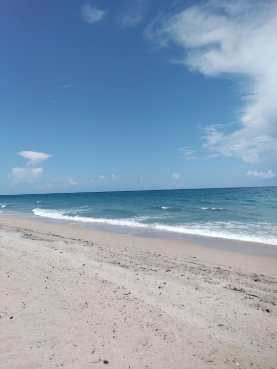 待售: $320,000 (1 贝兹, 1 浴室, 640 平方英尺)