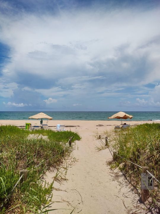 待售: $320,000 (1 贝兹, 1 浴室, 640 平方英尺)