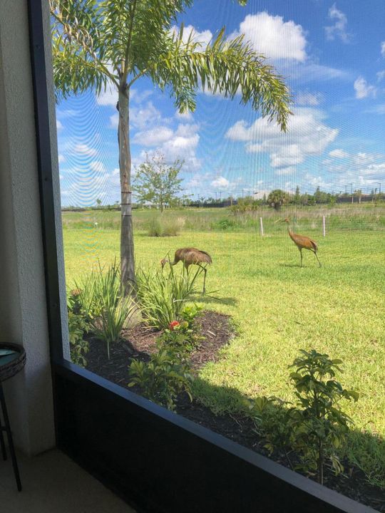 For Sale: $470,000 (2 beds, 2 baths, 1777 Square Feet)