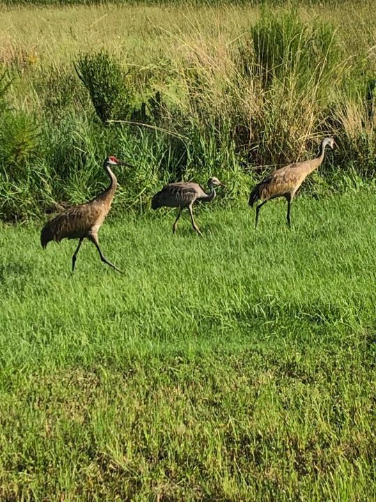 For Sale: $470,000 (2 beds, 2 baths, 1777 Square Feet)