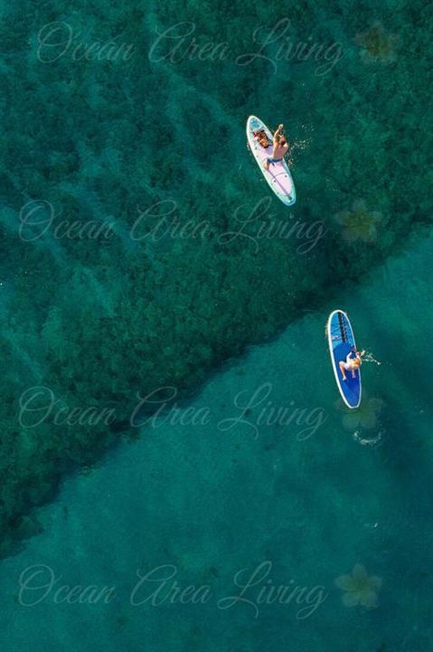 For Sale: $399,900 (2 beds, 2 baths, 920 Square Feet)