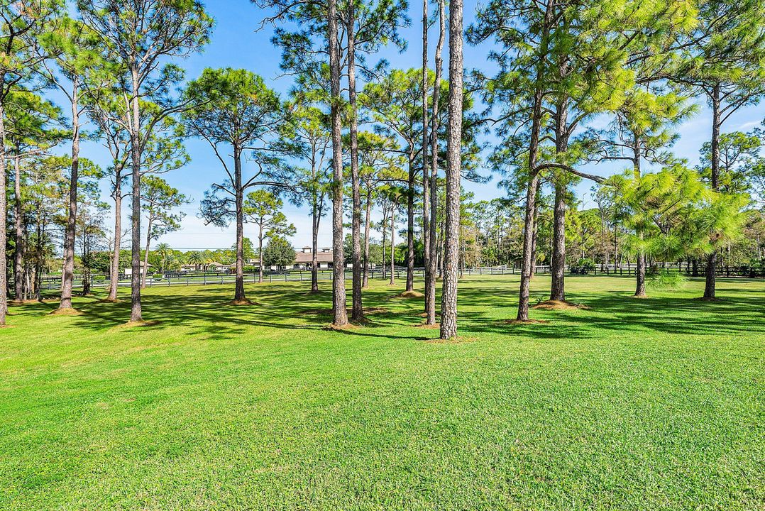 For Sale: $2,895,000 (4 beds, 4 baths, 4666 Square Feet)