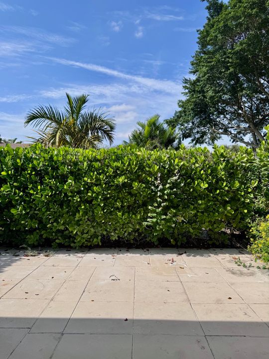 出租: $2,350 (2 贝兹, 2 浴室, 908 平方英尺)