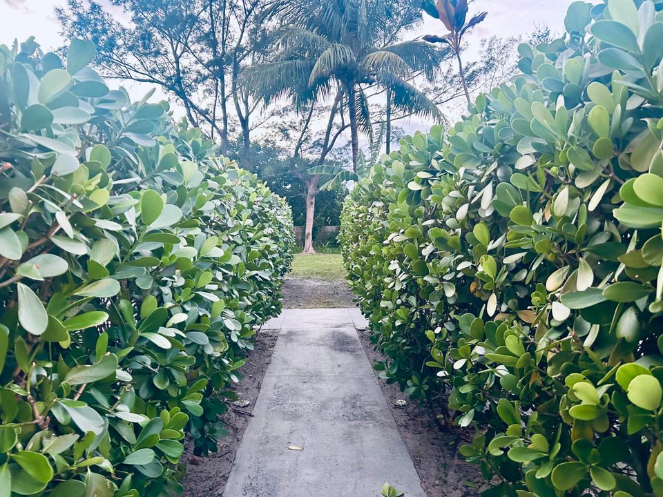 出租: $1,900 (2 贝兹, 1 浴室, 924 平方英尺)