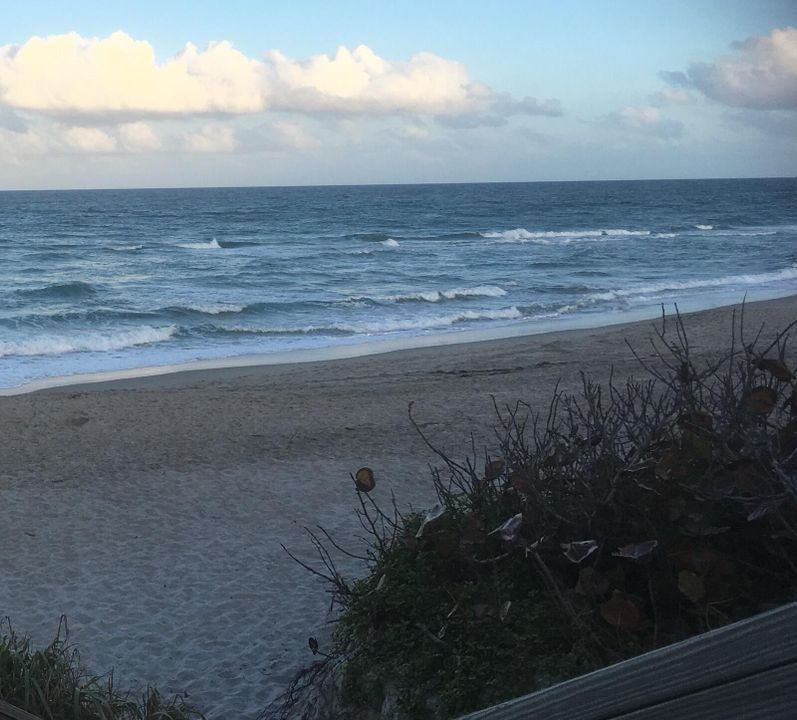 待售: $329,000 (1 贝兹, 1 浴室, 860 平方英尺)