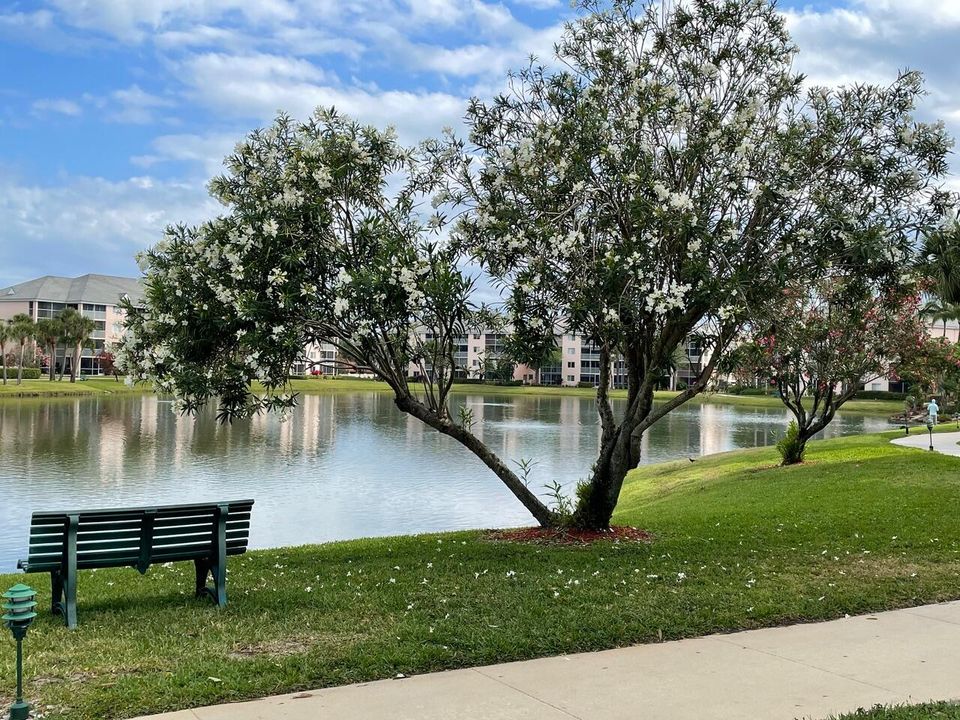 出租: $5,000 (2 贝兹, 2 浴室, 925 平方英尺)