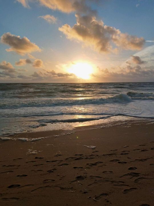 待售: $556,900 (3 贝兹, 2 浴室, 1400 平方英尺)