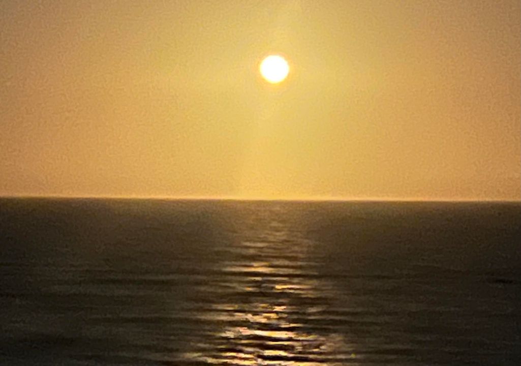 For Sale: $929,000 (2 beds, 2 baths, 1270 Square Feet)