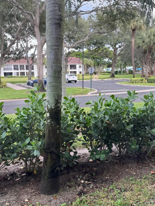 For Sale: $279,900 (2 beds, 2 baths, 1139 Square Feet)