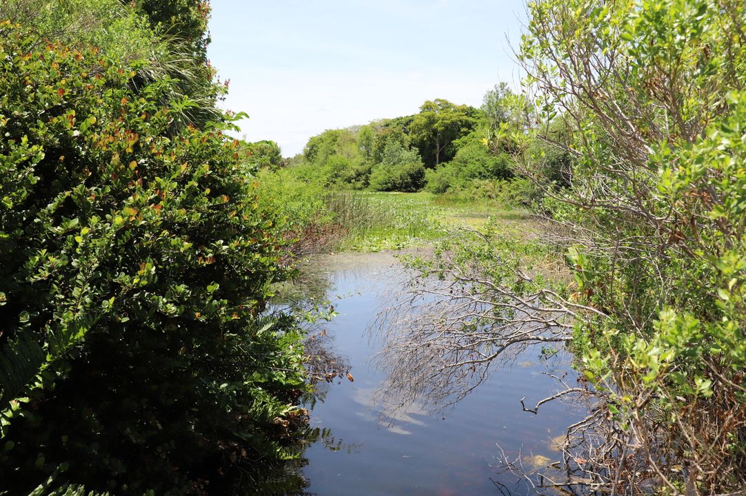 For Sale: $255,000 (2 beds, 2 baths, 980 Square Feet)