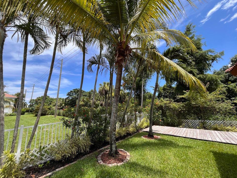 出租: $2,400 (2 贝兹, 2 浴室, 1036 平方英尺)