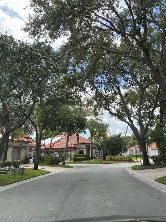 出租: $2,400 (2 贝兹, 2 浴室, 1036 平方英尺)