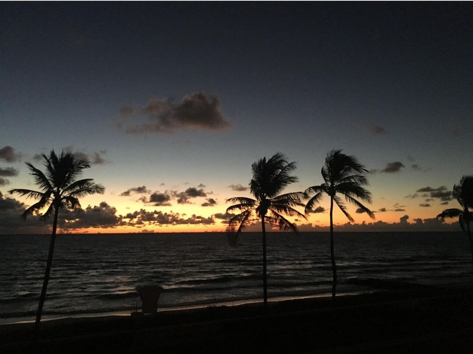 待售: $9,500,000 (3 贝兹, 3 浴室, 2216 平方英尺)