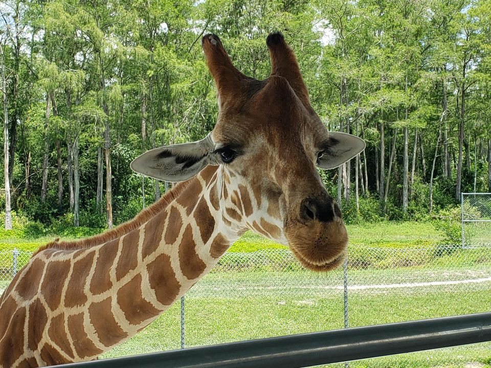 На продажу: $70,000 (2 спален, 1 ванн, 894 Квадратных фут)