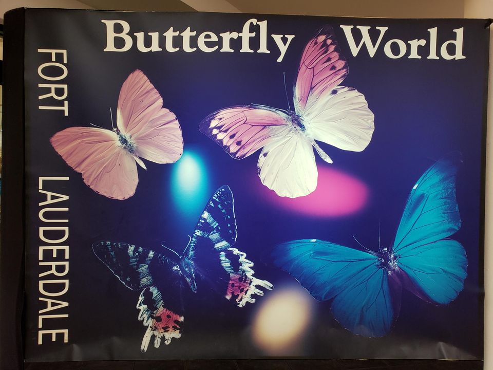 На продажу: $70,000 (2 спален, 1 ванн, 894 Квадратных фут)