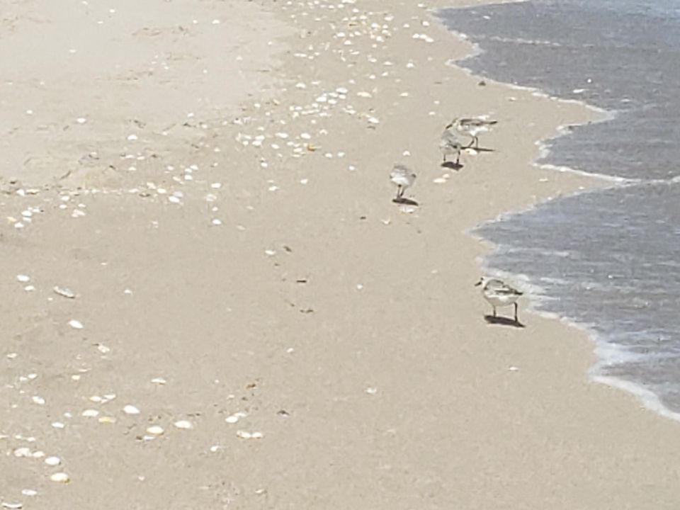 На продажу: $70,000 (2 спален, 1 ванн, 894 Квадратных фут)