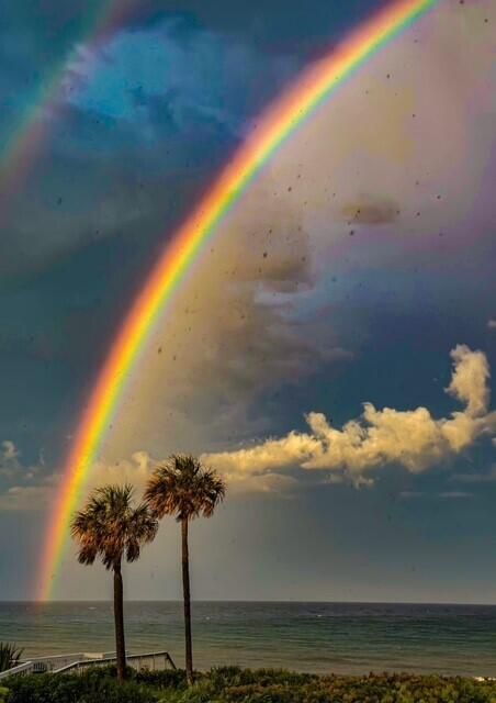 На продажу: $2,595,000 (3 спален, 3 ванн, 2985 Квадратных фут)