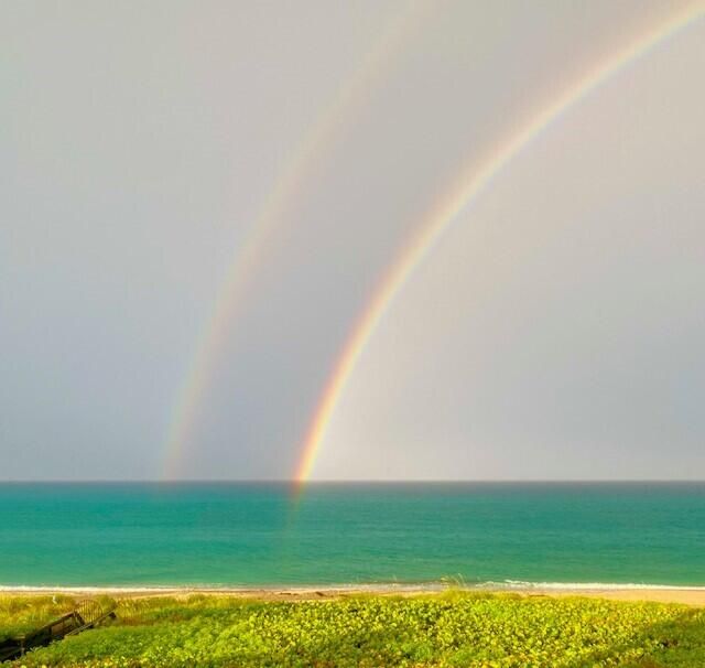 На продажу: $2,595,000 (3 спален, 3 ванн, 2985 Квадратных фут)