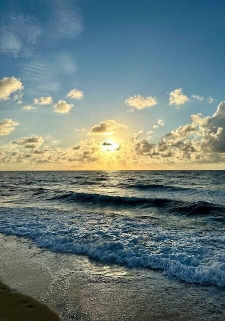 На продажу: $2,595,000 (3 спален, 3 ванн, 2985 Квадратных фут)