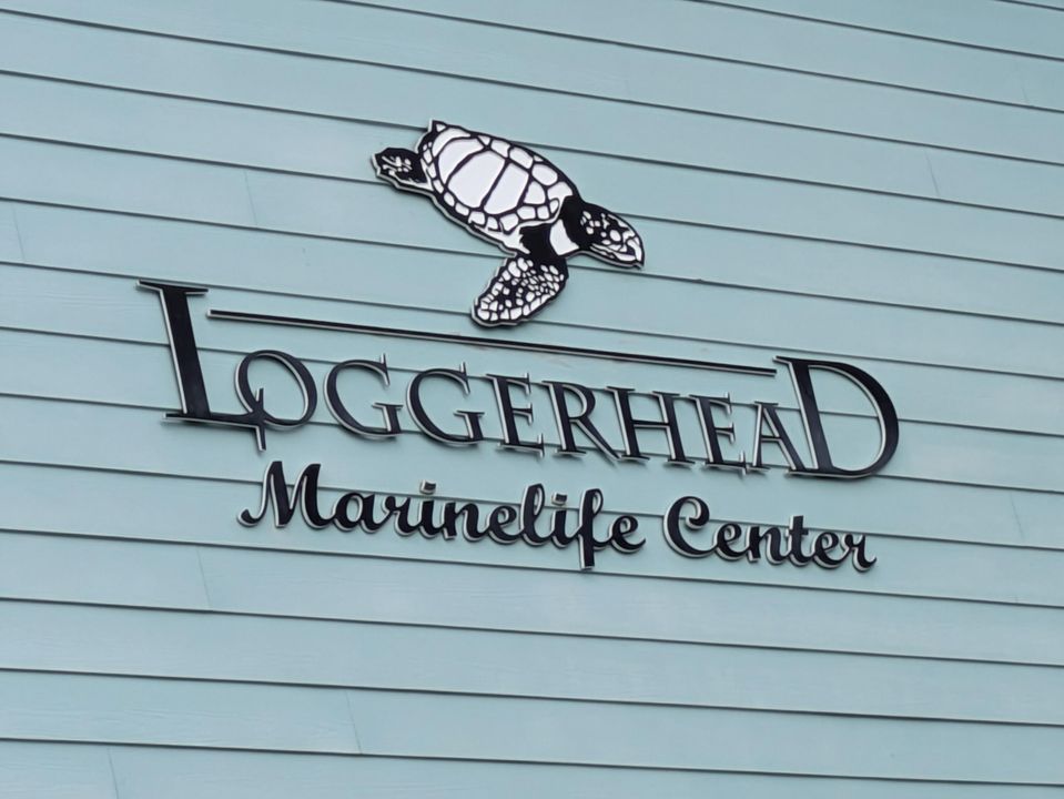 На продажу: $70,000 (2 спален, 1 ванн, 894 Квадратных фут)