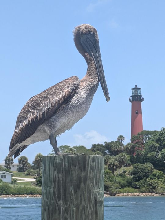 На продажу: $70,000 (2 спален, 1 ванн, 894 Квадратных фут)
