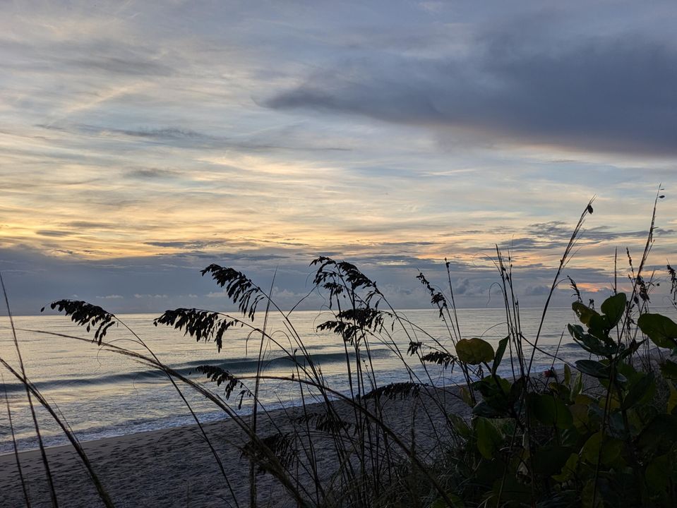 На продажу: $70,000 (2 спален, 1 ванн, 894 Квадратных фут)