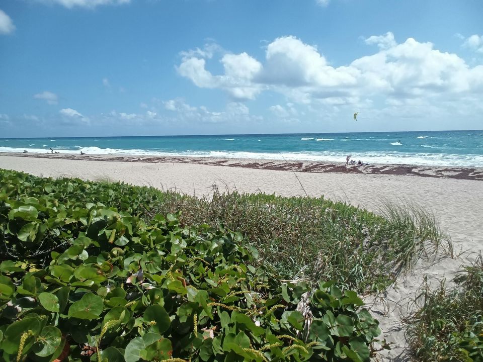 En Venta: $459,900 (2 camas, 2 baños, 1235 Pies cuadrados)