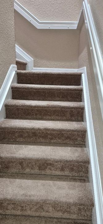 出租: $3,400 (3 贝兹, 2 浴室, 1507 平方英尺)