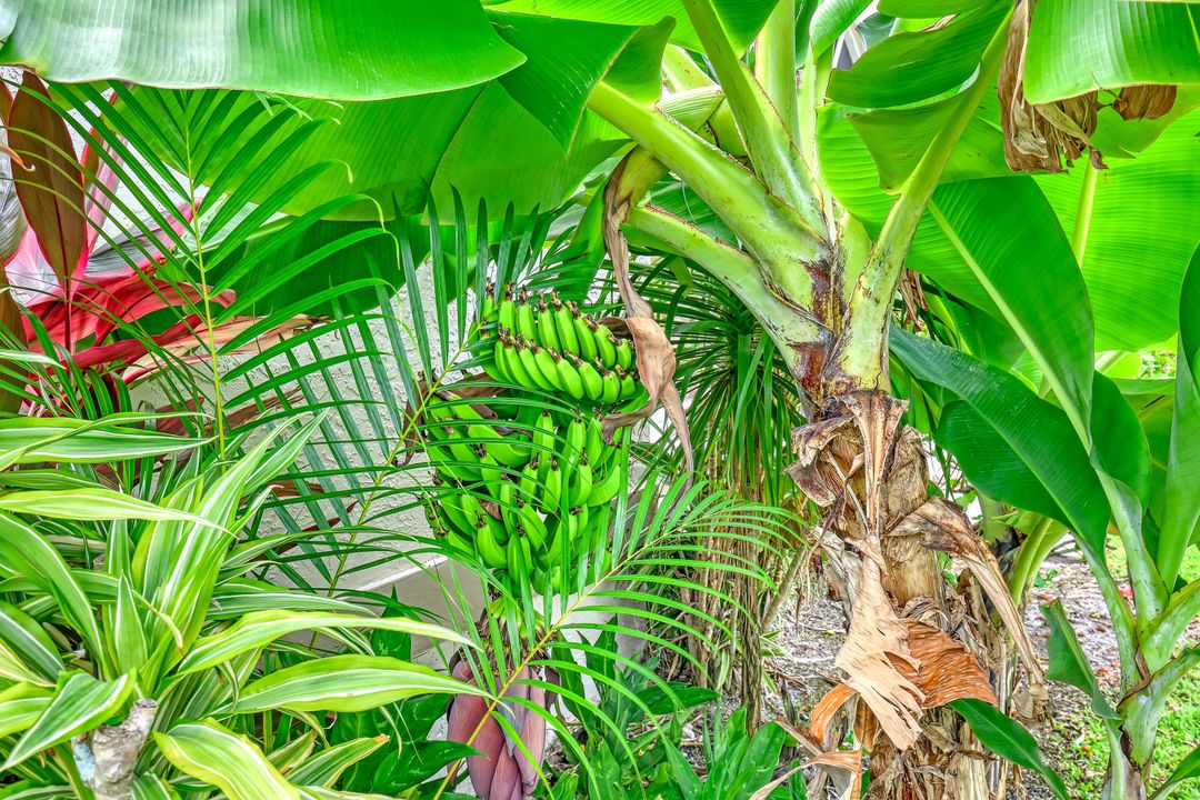 For Sale: $495,000 (3 beds, 2 baths, 1566 Square Feet)