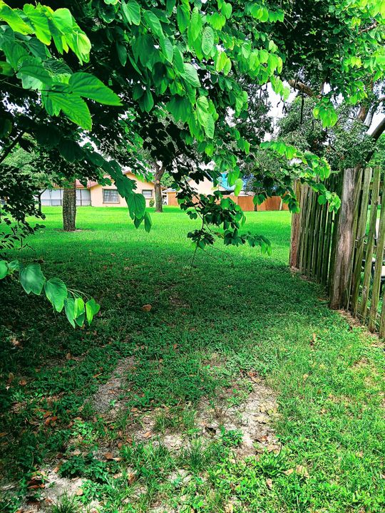 For Rent: $5,200 (3 beds, 2 baths, 1535 Square Feet)