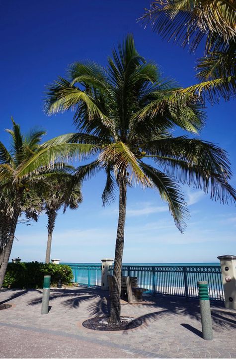 For Rent: $1,850 (2 beds, 1 baths, 800 Square Feet)