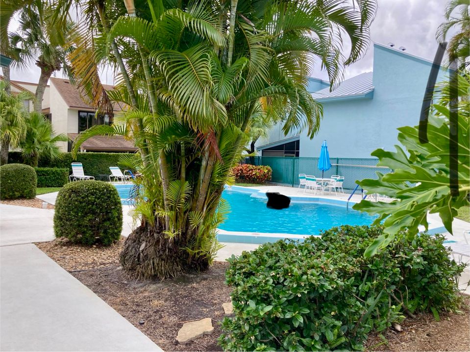 For Rent: $2,000 (2 beds, 2 baths, 875 Square Feet)