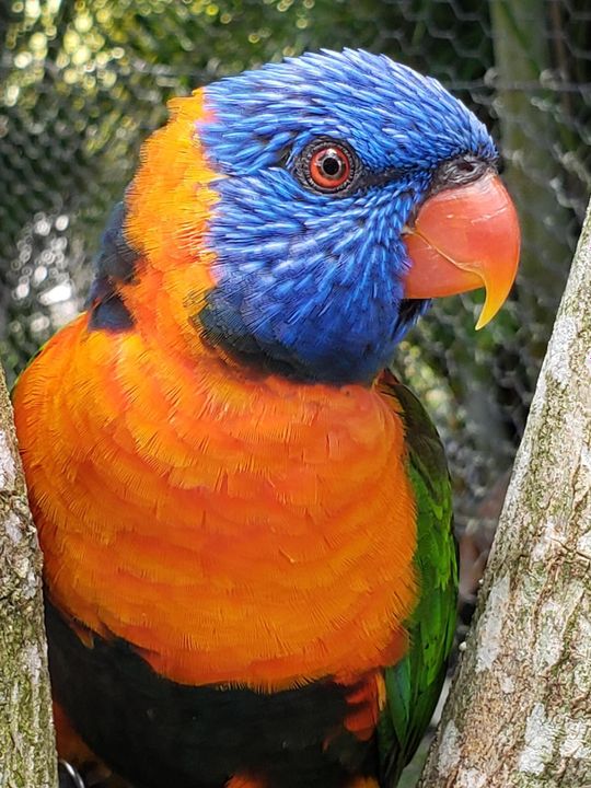 На продажу: $70,000 (2 спален, 1 ванн, 894 Квадратных фут)