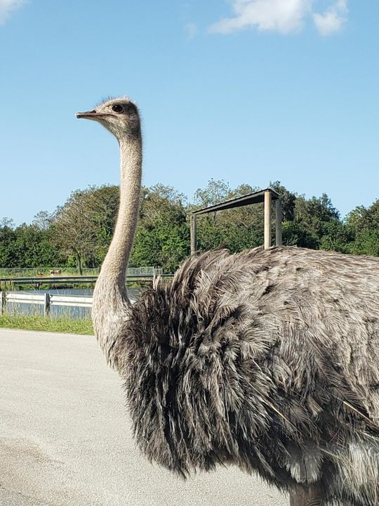 На продажу: $70,000 (2 спален, 1 ванн, 894 Квадратных фут)