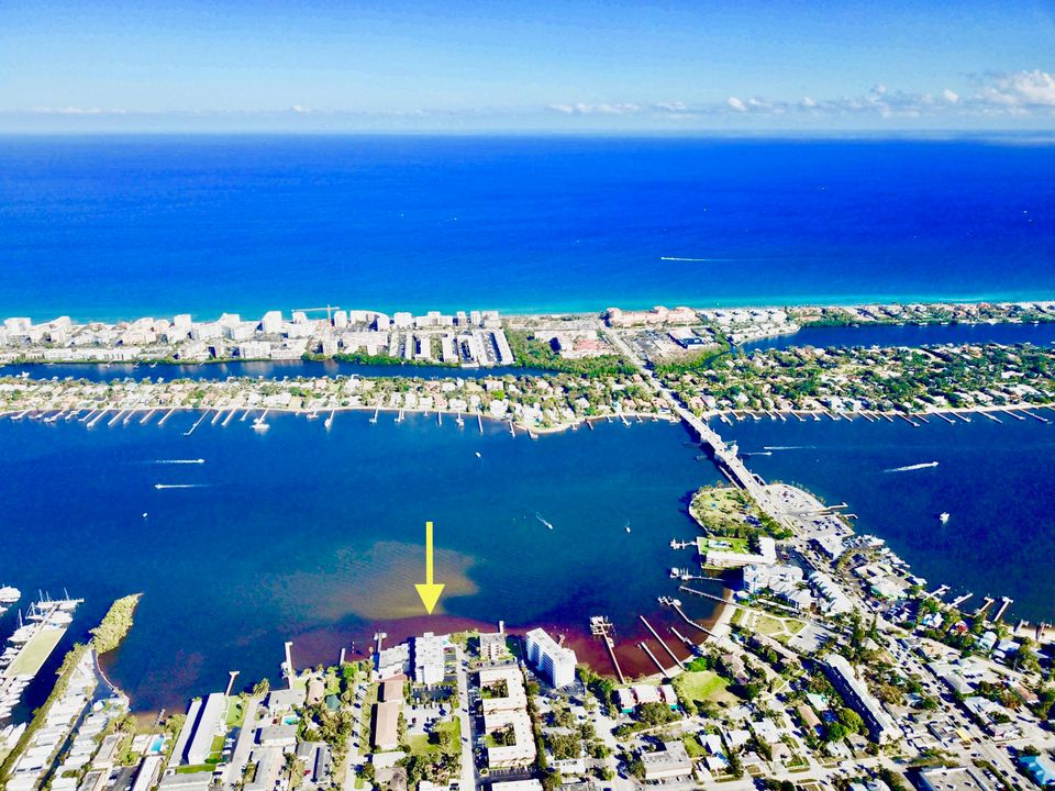 В аренду: $1,900 (1 спален, 1 ванн, 702 Квадратных фут)