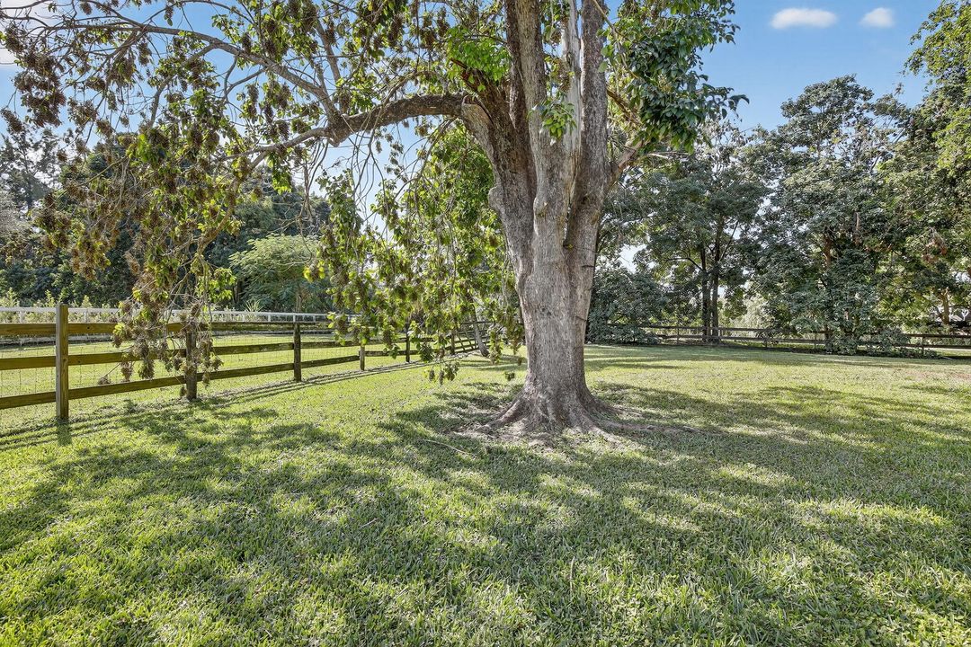 合同活跃: $800,000 (3 贝兹, 2 浴室, 1425 平方英尺)