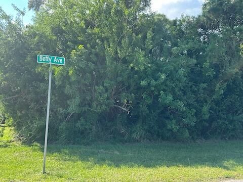 En Venta: $95,000 (0 camas, 0 baños, 0 Pies cuadrados)