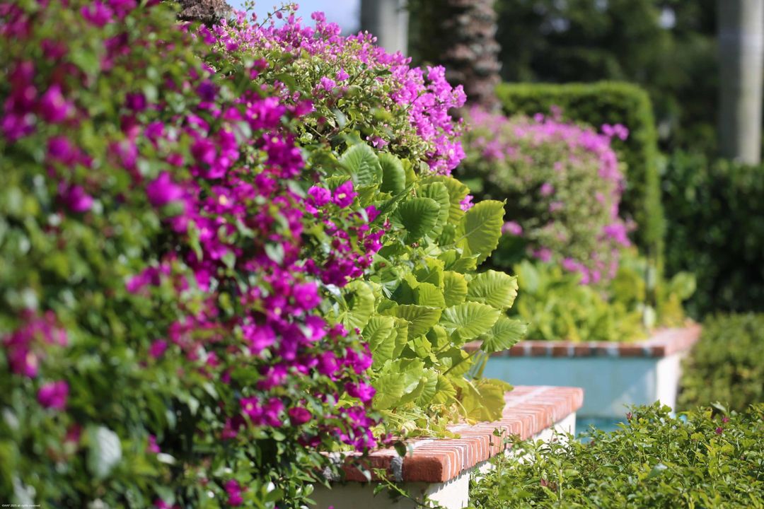 For Sale: $13,995,000 (6 beds, 6 baths, 8084 Square Feet)