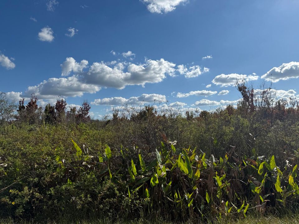 合同活跃: $59,900 (0 贝兹, 0 浴室, 0 平方英尺)